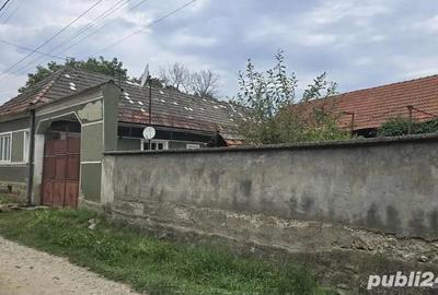 Casa 4 camere, anexe ?i gradina in centrul comunei Teliu - 1