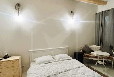 Oportunitate de business, zona ultracentrala, 8 camere - 3