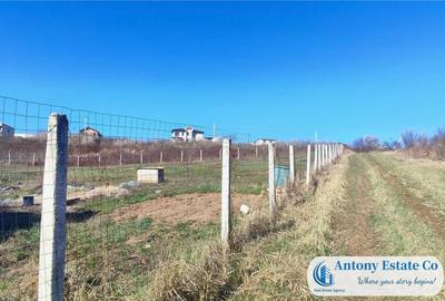 Teren intravilan de - Zona Saldabagiu De Munte, Bihor - 3