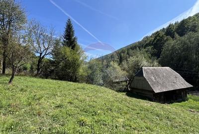 Teren Construcții intravilan de 2000 mp, în Răchițele - 3