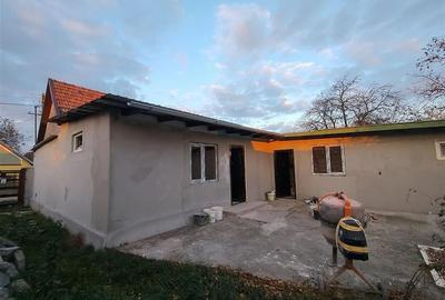 RECO Casa de vanzare in Hodos - 2