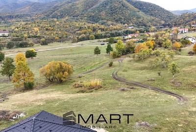 Teren Construcții intravilan de 1255 mp, în Cisnădioara - 4