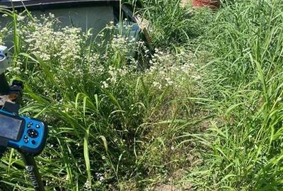 Vanzare teren localitatea Magurele - 6