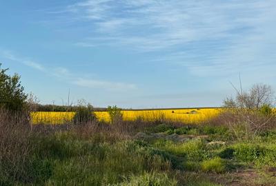 Teren de vânzare Costinești, lângă viitoarea stațiune NIBIRU Teren de vânzare Costinești, lângă viitoarea stațiune NIBIRU - 7