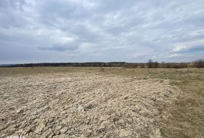 Teren de 2300 mp, în Central - 10