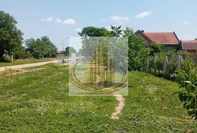 Teren de 16000 mp, în Belinț - 7