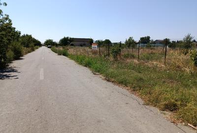 Propunem spre vanzare teren Cornetu 1537m2 - 5