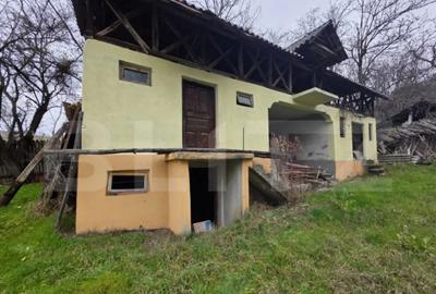 Casă cu 4 camere cu Teren 4332 Mp în Central