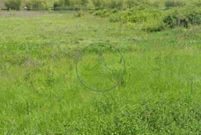 Teren de 4056 mp, în Sânmihaiu de Câmpie