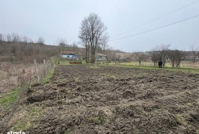 Teren de 2038 mp, în Ghercești - 18