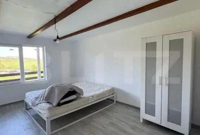 Casă cu 6 camere cu Teren 8700 Mp în Mihai Viteazu - 3