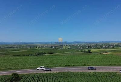 Teren Intravilan 36977 mp E 85 Intrare in Municipiul Suceava! De Vanzare! 0727817187 - 10