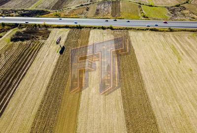 Teren Construcții extravilan de 31700 mp, în Uliești - 7