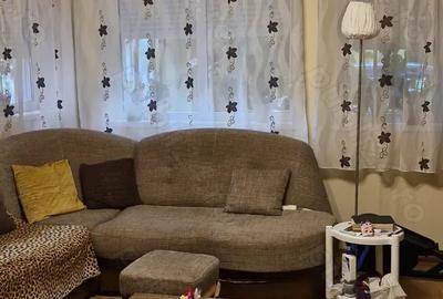 Vanzare casa in localitatea salard - 7