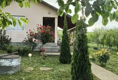 Casă cu 2 camere cu Teren 1751 Mp în Central - 3