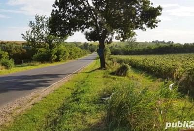 Teren de 45000 mp, în Central - 8