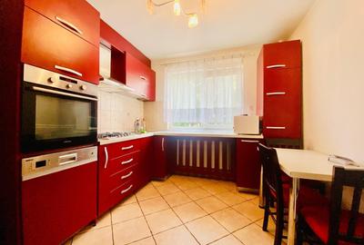 Apartament cu 2 camere semidecomandat în Ostroveni - 7