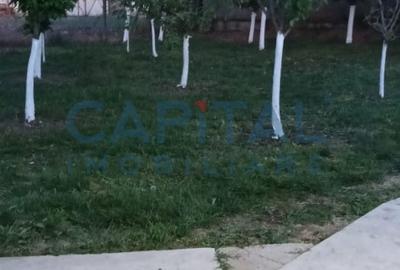 Comision 0%,  Teren - Casa de vacanta - 19