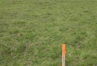 FILM! Teren intravilan cu suprafata de 872 mp, Harman, Brasov - 16