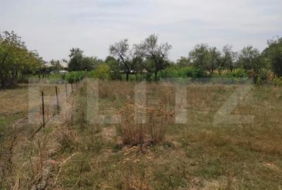 Casă cu 4 camere cu Teren 2300 Mp în Central