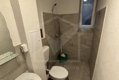 Apartament de inchiriat In Piata Muzeului pentru birouri/comercial - 6