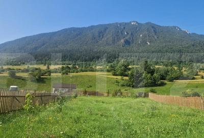 Teren Plaiul Foii, vedere spre muntii Bucegi si apa Barsa 10 - 4