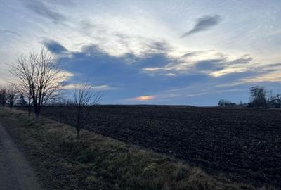 Vand teren extravilan - 5