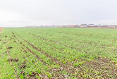 CERNICA - POSTA - TEREN INTRAVILAN CONSTRUCTII 15000 MP! - 3