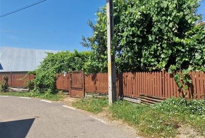 Casa traditionala, cu 2.000mp teren roditor, Izvoarele - 12