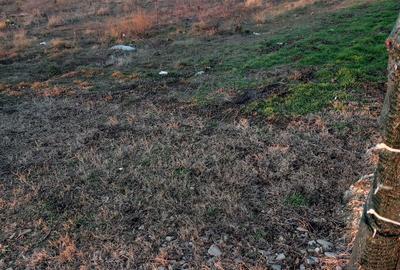 Teren de 500 mp, în Găneasa - 2