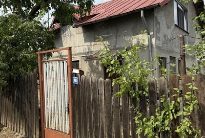 Casă cu 3 camere în Plopu - 1