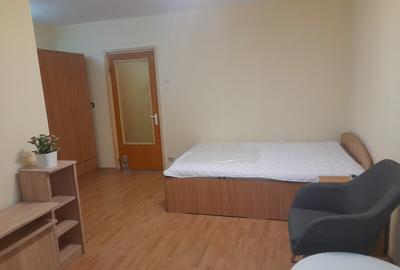 CAMPIA LIBERTATII ,GARSONIERA INCHIRIERE - 3