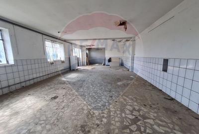 Casa  si spatiu comercial cu suprafata de 483 mp - 7