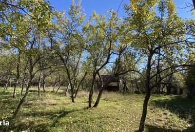 Casă cu 2 camere în Slătioarele - 5