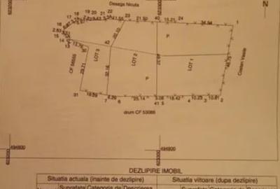 Teren intravilan de 3290 mp, în Lepșa - 4