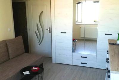 Garsoniera RENOVATA, CT, mobilata, bloc de apartamente ALEXANDRU - 1