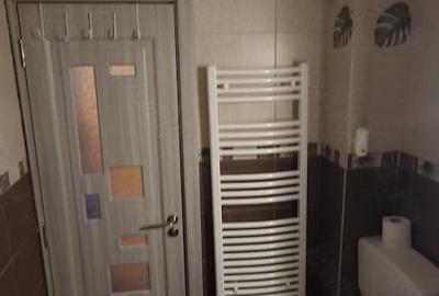 Apartament cu 2 camere semidecomandat în Lipovei - 8