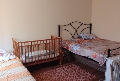 Casă individuală cu 3 camere cu Teren 1331 Mp în Romanu - 15