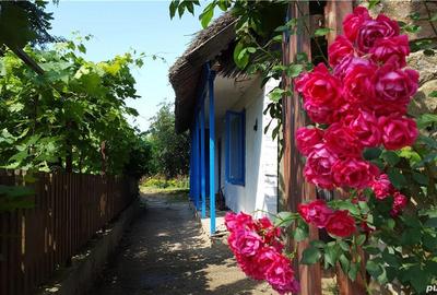 Casă cu 6 camere în Plopul - 8