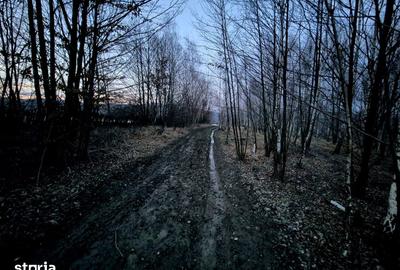 Teren de 5000 mp, în Șinca - 4