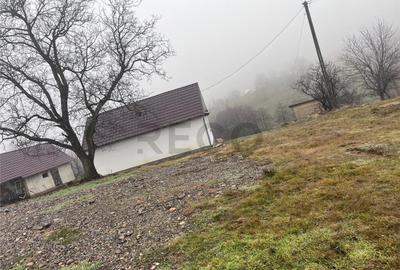 RECO, casa in Sinteu, aproape de Huta Slavia - 13