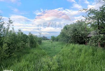 Casă cu 4 camere în Valea Cufundoasă - 5
