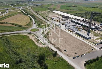 Teren de 10126 mp, în Teiu - 1