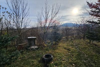 Teren extravilan 10,791mp Falticeni / Strada DJ209A, Opriseni - 11