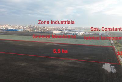 Teren intravilan 5,5 ha industrial deschidere 150 ml soseaua Constantei