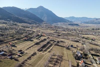 Teren Construcții intravilan de 4043 mp, în Predeluț - 30