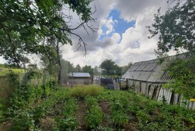 Teren de 5000 mp, în Central - 3