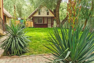 Pensiune functionala in Delta Dunarii,  Uzlina, bratul Sf. Gheorghe - 4