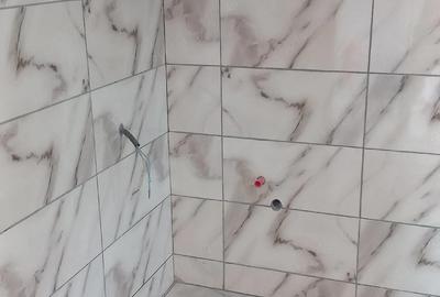 Casă cu 3 camere cu Teren 300 Mp în Central - 3