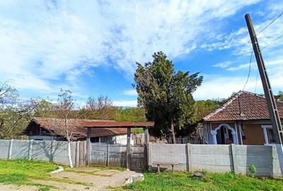 Casă cu Teren 2480 Mp în Păltinișu - 8